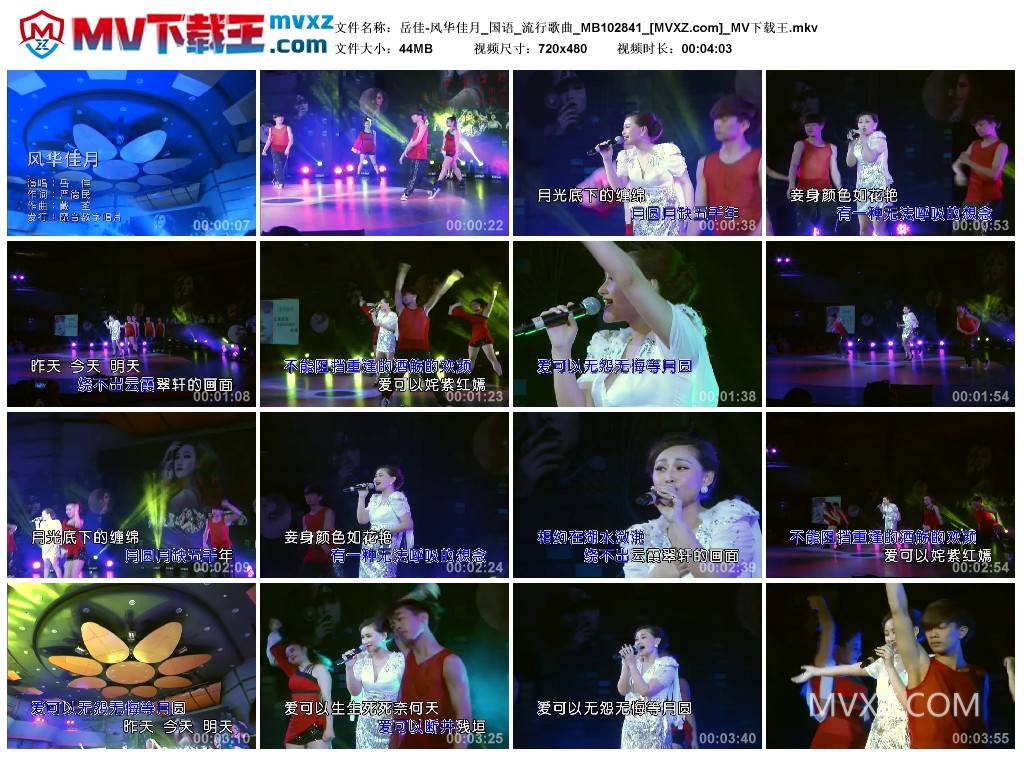 岳佳-风华佳月_国语_流行歌曲_MB102841